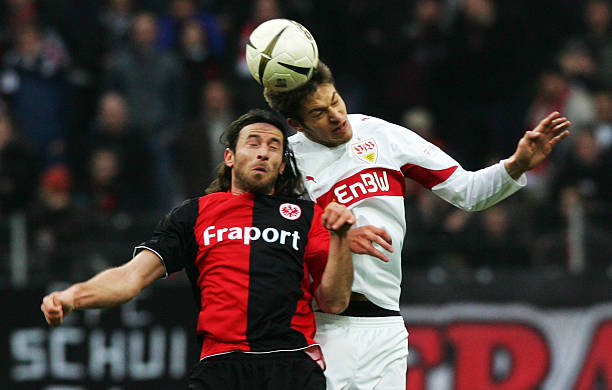 正是这些意 正是这些意